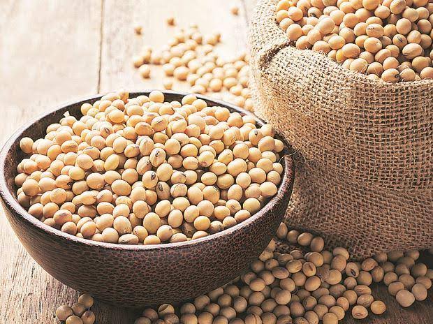 India’s soybean output set to jump as farmers expand area on ample rains