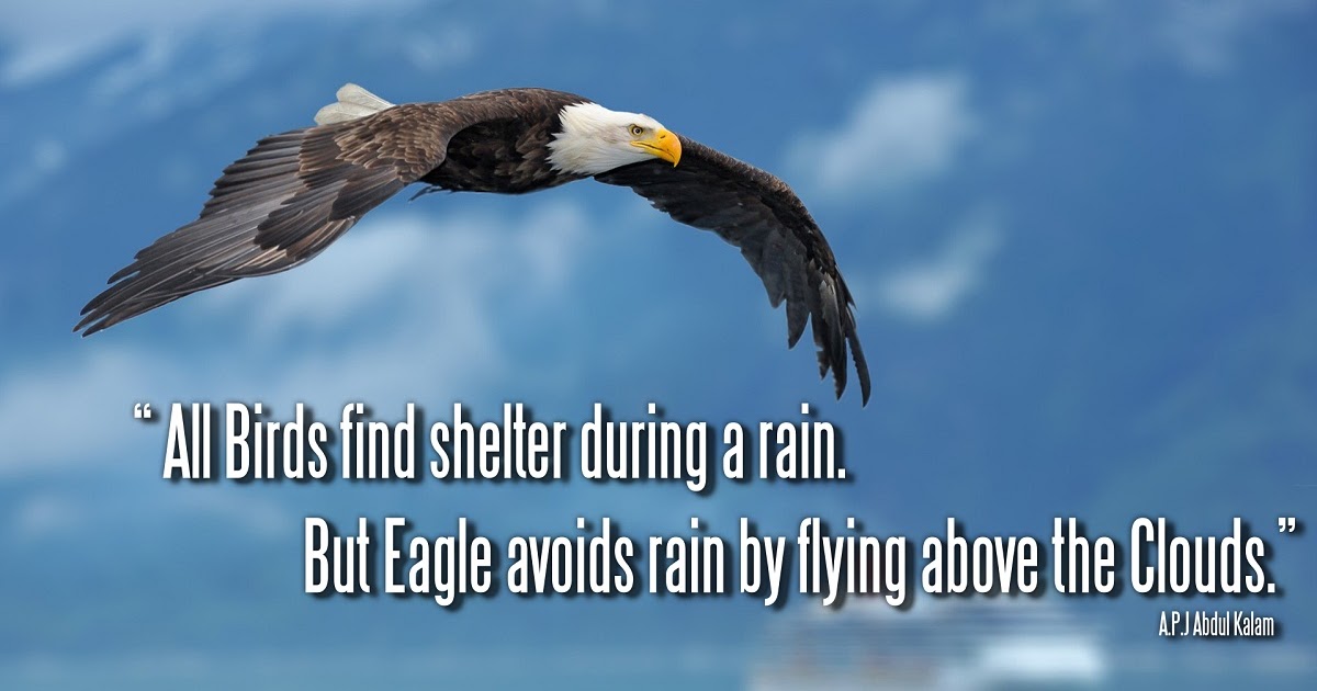 Little by Little One Travels Far