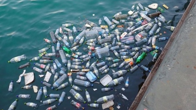 Shipping Industry Commits to Eliminating Single-Use Plastics in 2021