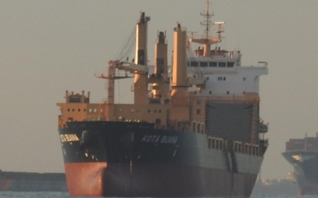 BBG And Harren & Partner Combining Bulker Businesses