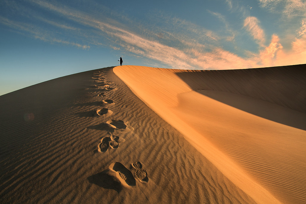 Journey Of Life