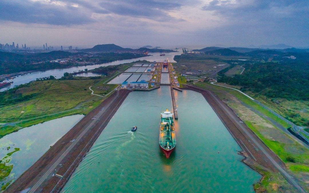 The Panama Canal Resumes Seasonal Measures To Protect Migrating Marine Life