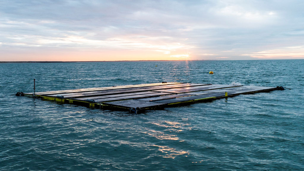 Dutch Investor Meewind Joins Oceans Of Energy’s Floating Solar Project
