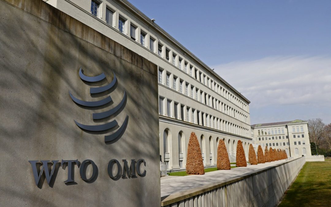 WTO Sees Signs Of Trade Turning Point