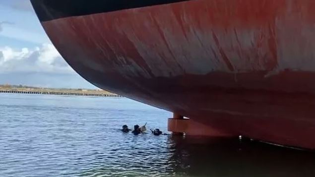Dead Diver And Cocaine Found After Bulker Docks In Australia