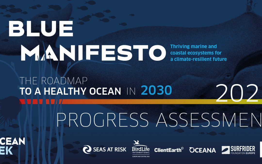 EU Makes Poor Progress On Milestones To Deliver A Healthy Ocean By 2030
