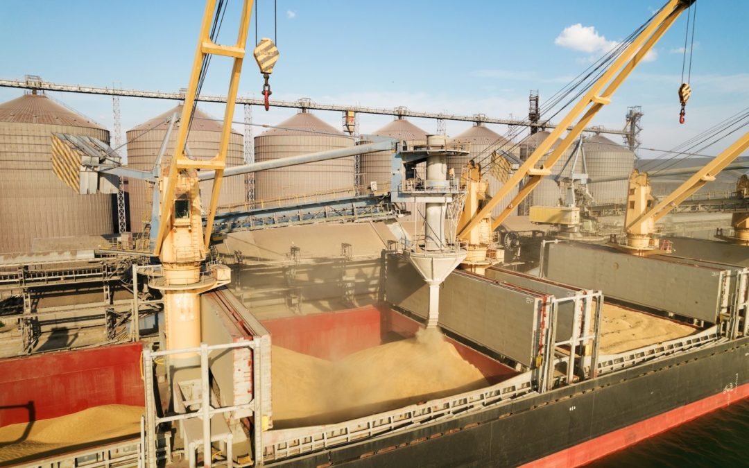 EU Seeks To Release Ukrainian Grain Stuck Due To Russia’s Sea Blockade