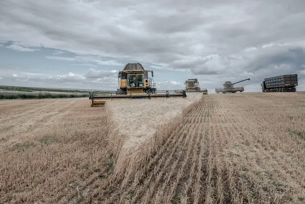 Russian, Ukrainian Officials Sign Grain Export Deal Aimed At Easing Global Crisis