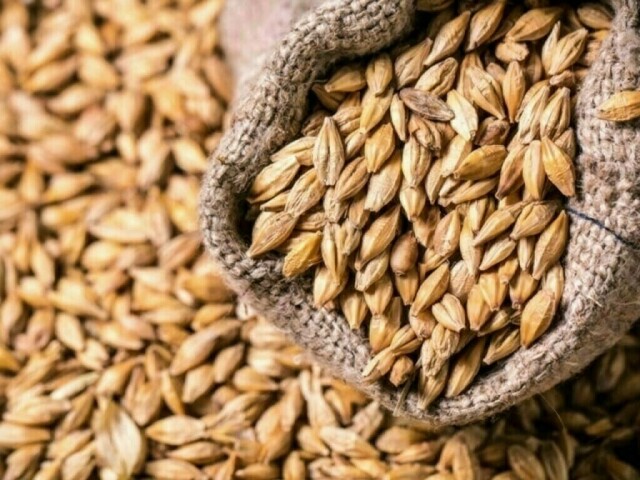 Traders Turn To French Wheat For Pakistan As Black Sea Supplies Tighten