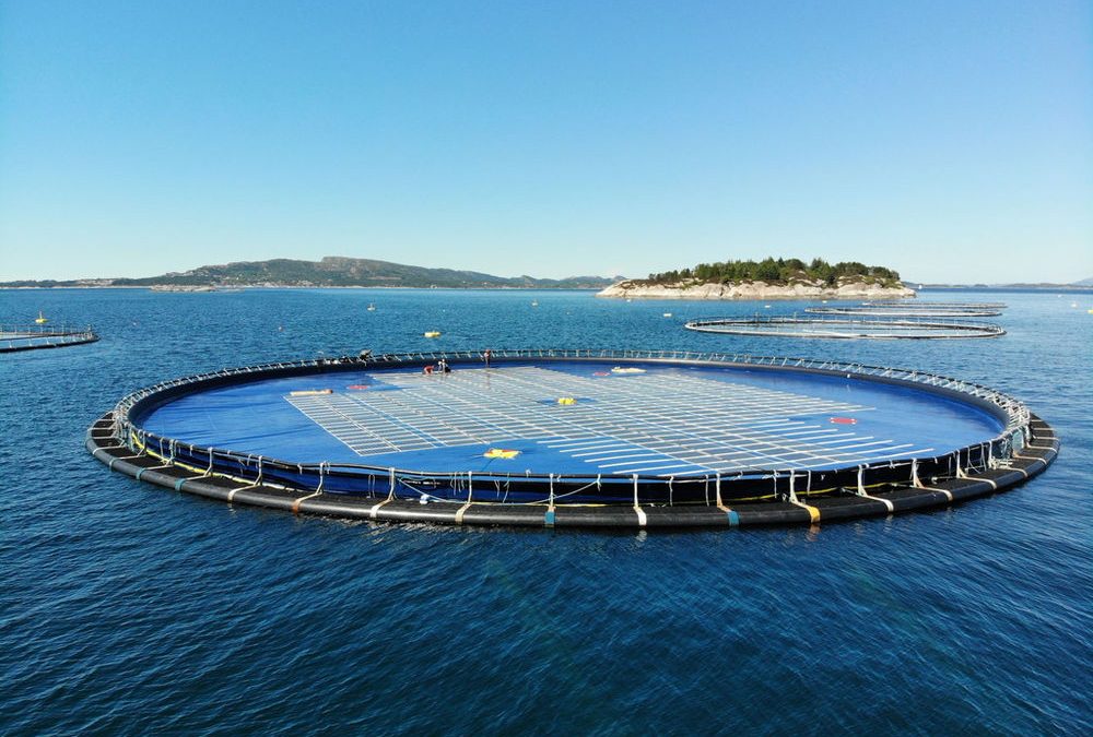 Ocean Sun And Keppel Team Up For Nearshore Floating Solar Project In Singapore