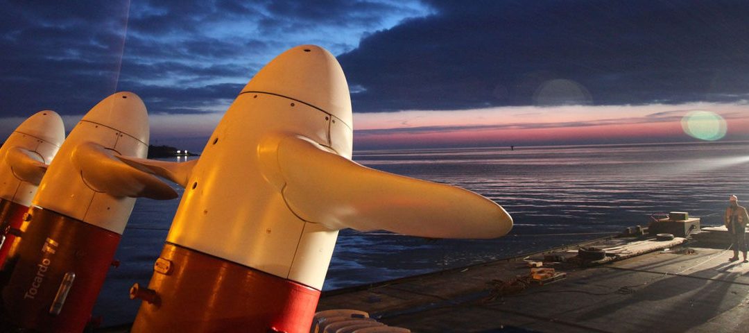 Tocardo Appoints New Chief Technical Officer To Lead Development Of Enhanced Tidal Turbine Tech