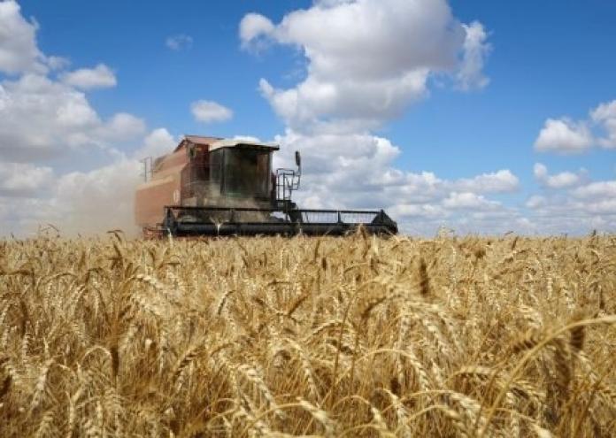 Ukraine Works To Resume Grain Exports, Flags Russian Strikes As Risk