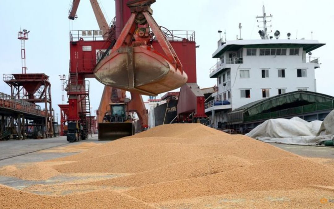 China’s July Soybean Imports Slide Amid Poor Crush Margins, Weaker Demand