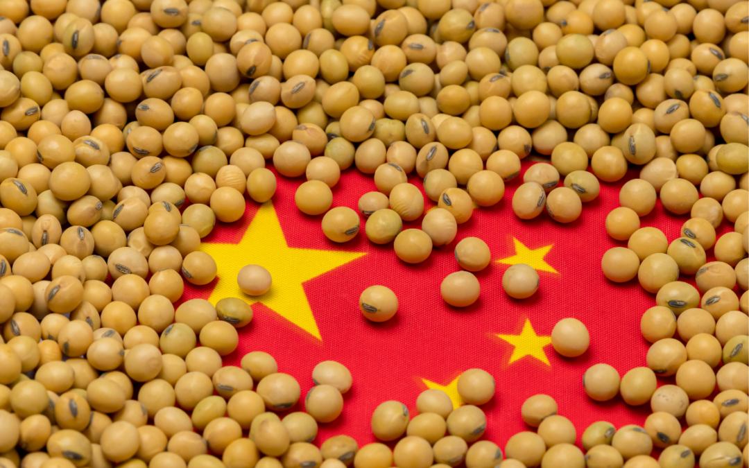 China Soybean Imports Drop 6.2% y/d, Potential Short-Term Recovery Ahead