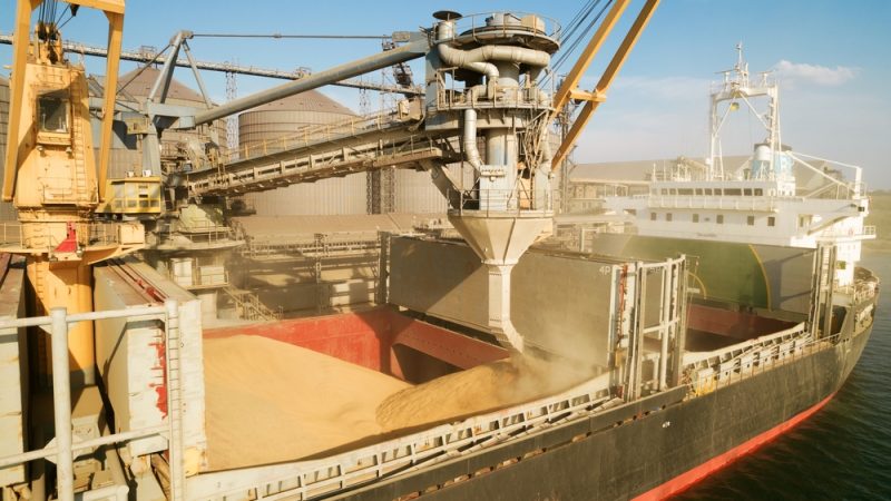 Ukraine Exports Reach 2.1 mln Tonnes Under Grain Deal, Russia Raises Fresh Concerns