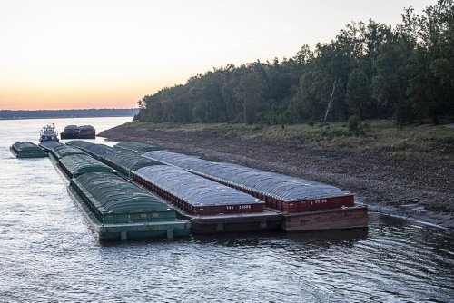U.S. barge backlog swells on parched Mississippi River