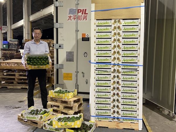 PIL makes first CA reefer delivery of fresh avocadoes to Singapore