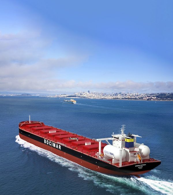 HSFO firms on strong bids, while VLSFO extends dip