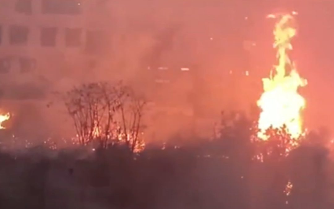 Massive Fire Breaks Out in Delhi’s Shaheen Bagh, Several Vehicles Destroyed
