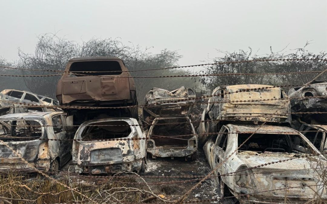 Massive Blaze at Wazirabad Police Yard Destroys Over 300 Vehicles