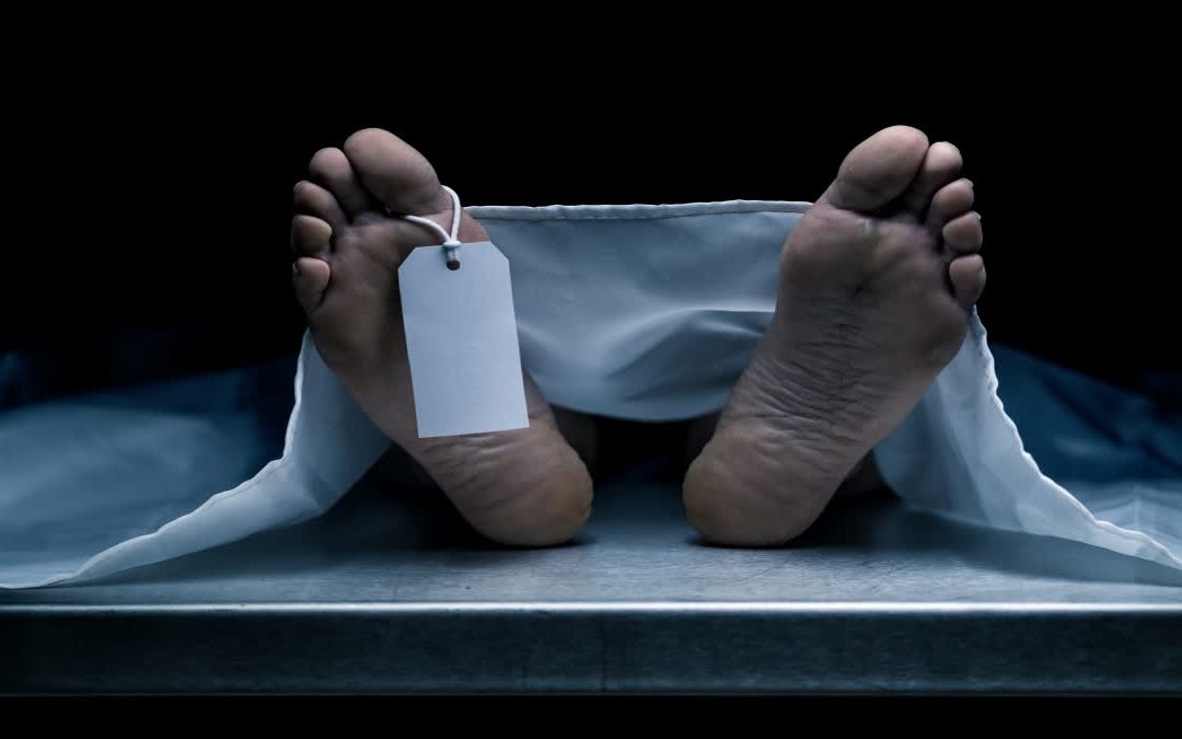 Seven Members of Dehradun Family Found Dead in Car in Panchkula; Suicide Pact Suspected