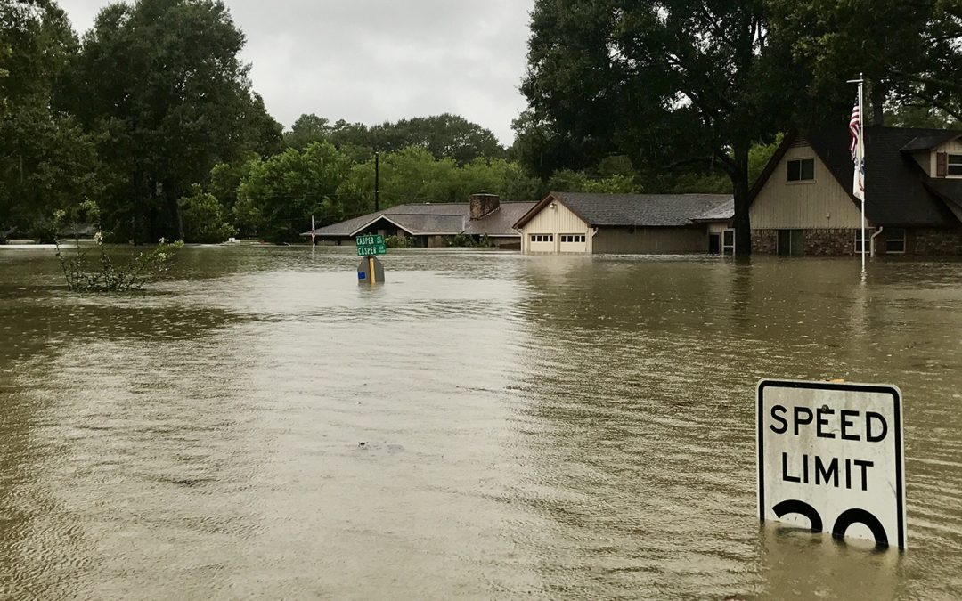 ‘They Screamed for Help at 3 AM’: 12 Rescued from Swollen Falgu River in Gaya, 2 Missing