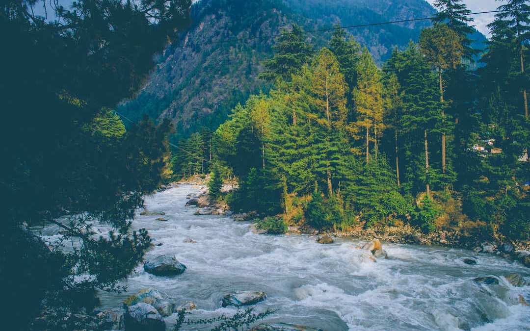 ‘It Smells Horrible’: Kasol Turns Into Dumping Ground, Viral Videos Trigger Outrage