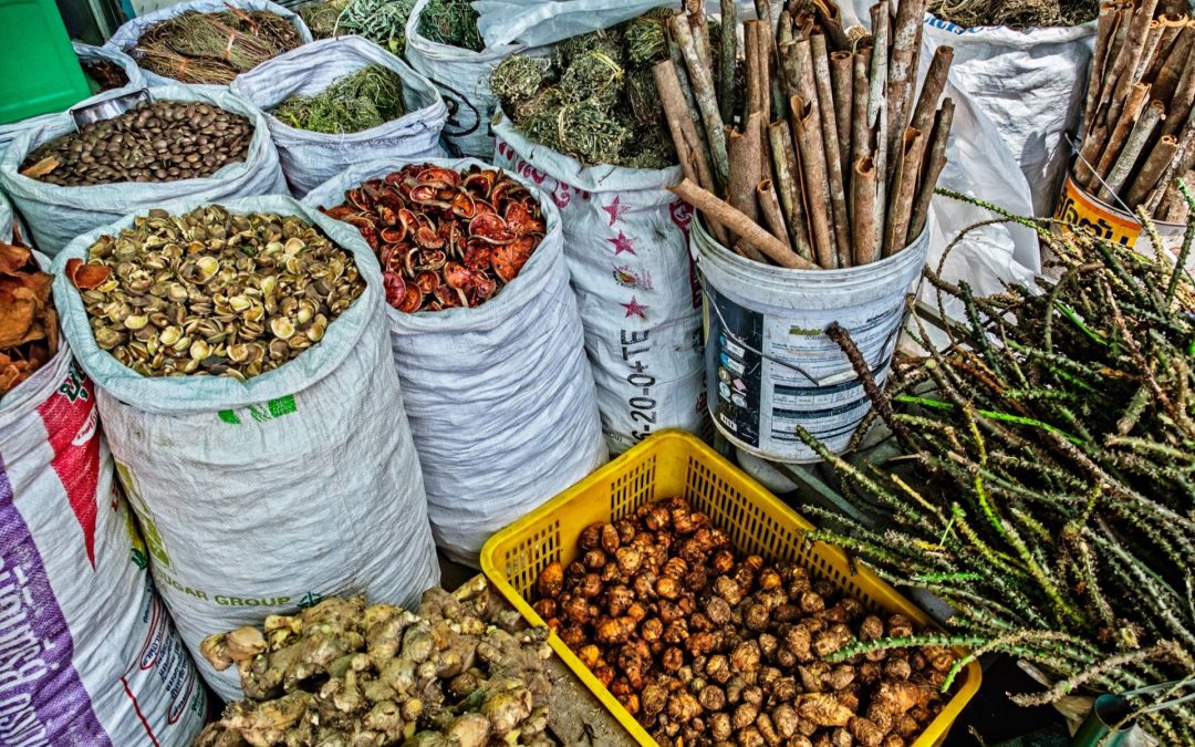 Ancient Healing, Modern Proof: How Traditional Remedies Are Backed by Science