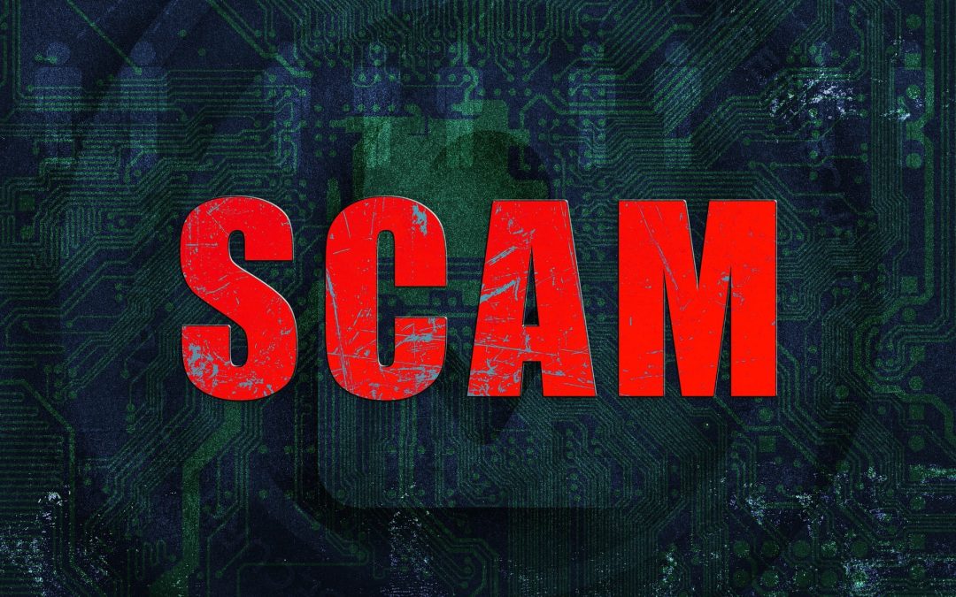 Bank Official Duped of ₹34 Lakh in Crypto Scam After Matrimonial Portal Trap