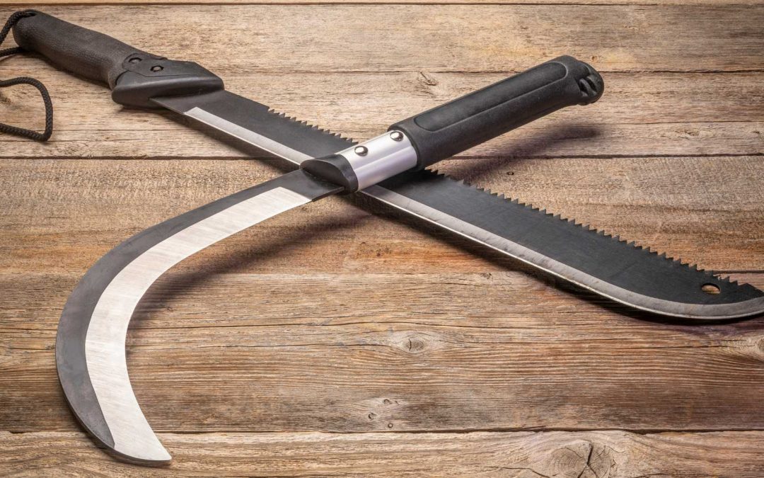 Bengaluru Horror: Nursing Student Attacked with Machete by Domestic Help