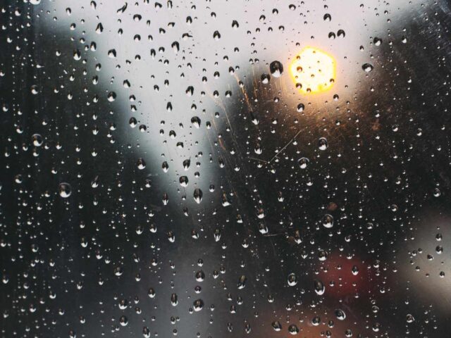 Battered by Unseasonal Rains, Solapur Farmers Face Severe Losses