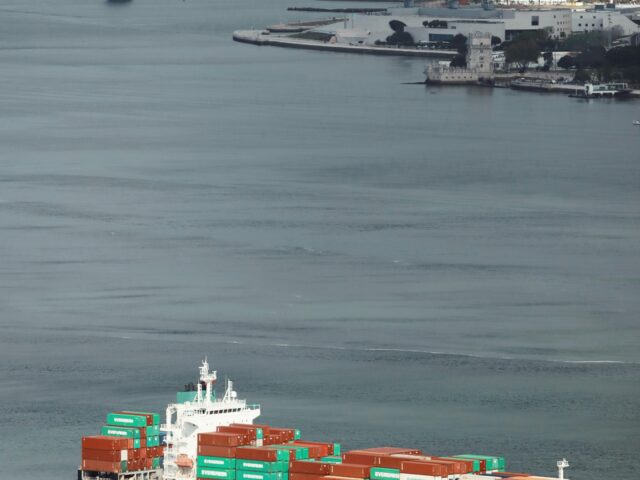 Containers Lead on Efficiency: 67% of the Fleet Achieves a CII Rating of A–C