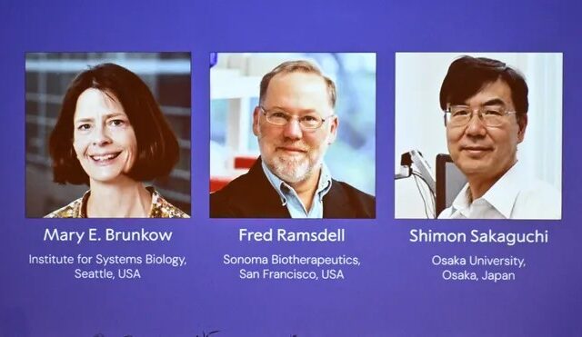 Trio wins 2025 Nobel Prize in Medicine for discoveries on immune system regulation