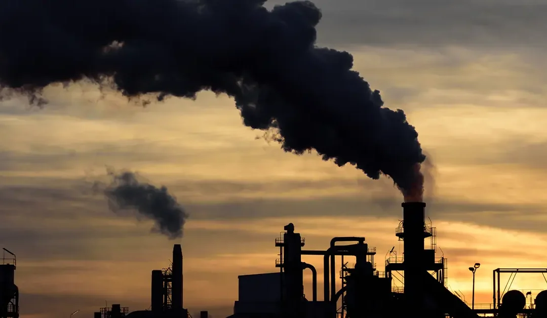 Traces of suspected ammonium nitrate were found in a vehicle recovered in Faridabad following the Delhi blast