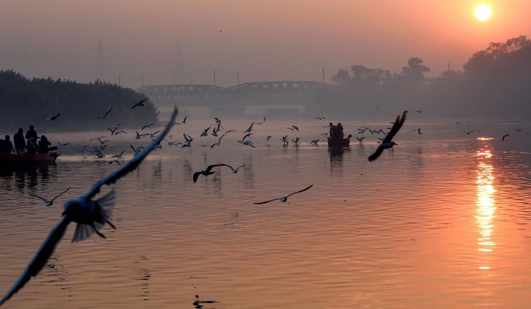Winter has arrived, and is it expected to be colder this year? Delhi experiences its coldest November day in three years amidst ‘very poor’ air quality