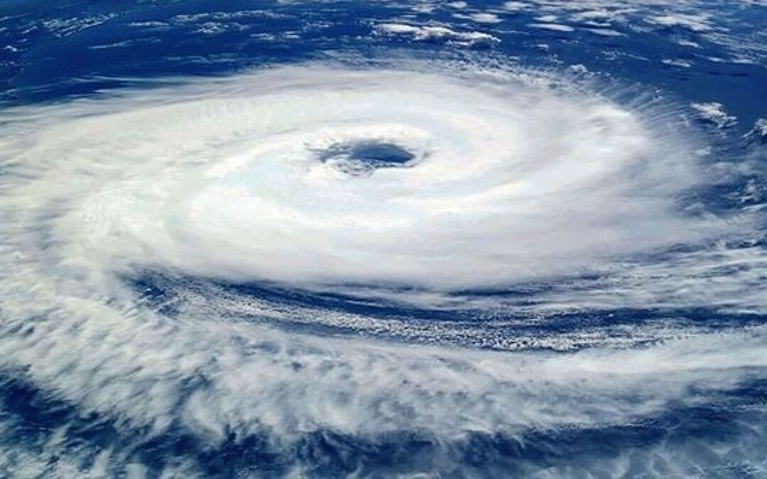 Cyclone Ditwah is nearing the shores of Tamil Nadu and Puducherry A red alert has been declared in four districts of Tamil Nadu