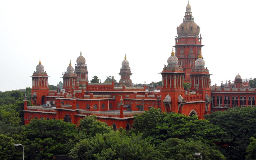 Madras HC moots Australia-style law to bar under-16s from social media