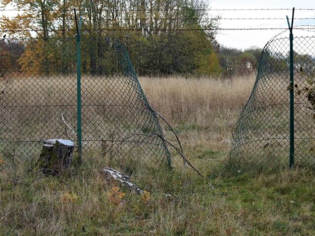 150-Metre Stretch of Myanmar Border Fence Cut in Manipur