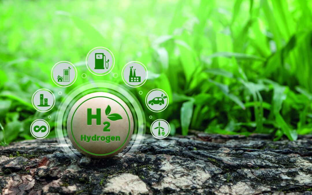 Technology choice shapes how ‘green’ hydrogen really is: IIT-M study
