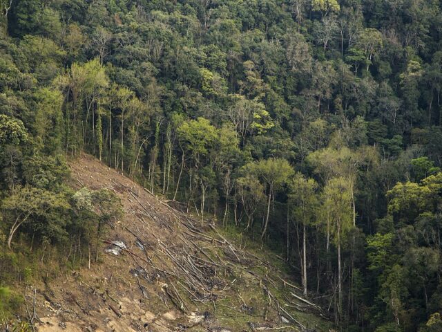Stone-pelting erupts during forest encroachment survey in Rishikesh; roads and rail tracks blocked