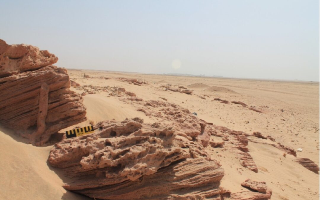 Kuwait opens its first geological park