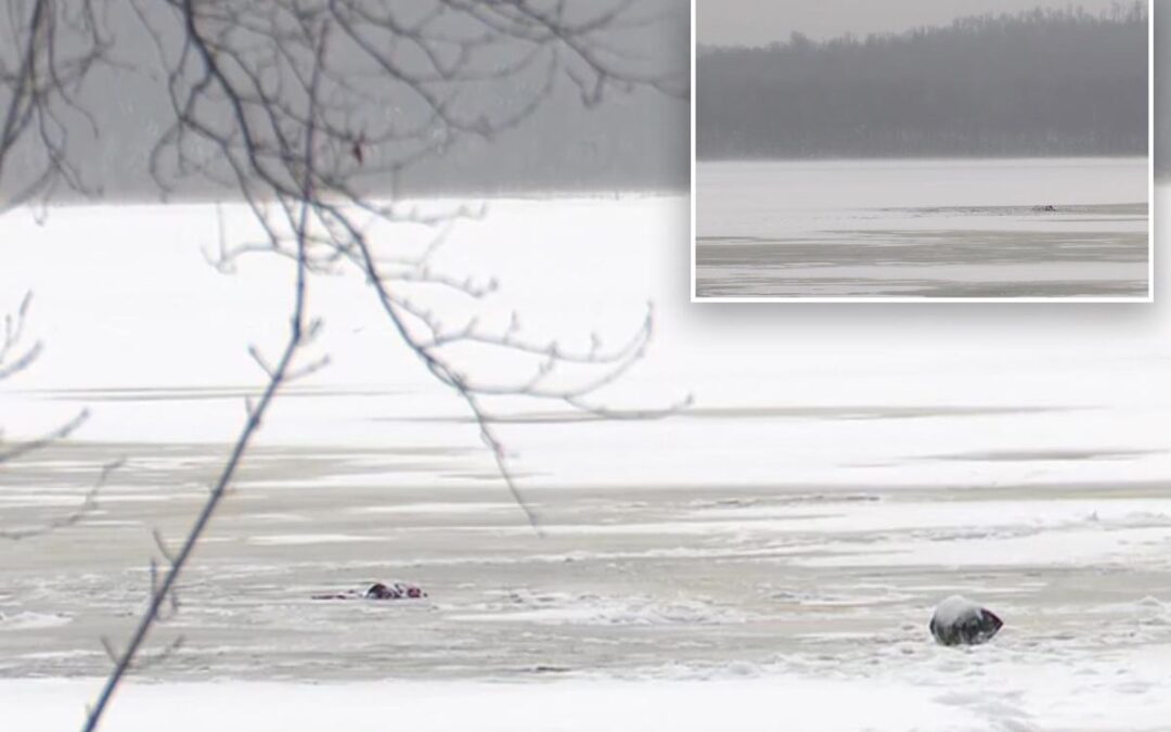 Six-year-old walks two miles for help after father dies saving him in upstate New York ice tragedy