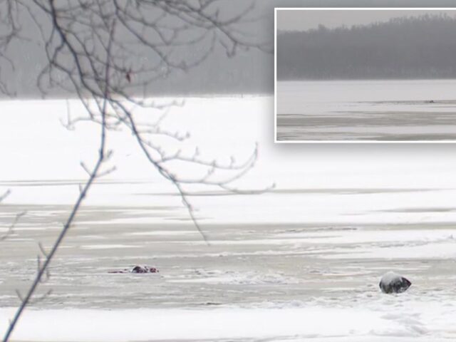 Six-year-old walks two miles for help after father dies saving him in upstate New York ice tragedy