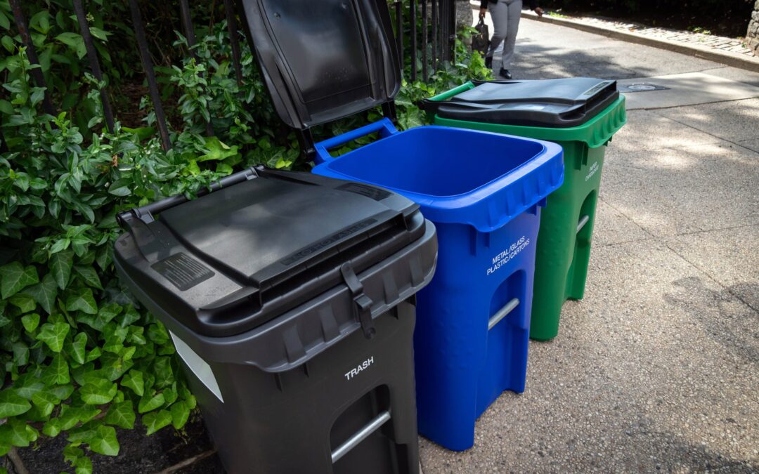 ‘Annoyed with sanitation’: How missing garbage bins sparked New York City’s oddest urban crisis