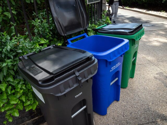 ‘Annoyed with sanitation’: How missing garbage bins sparked New York City’s oddest urban crisis