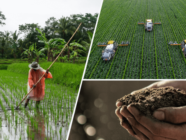 UP trains over 20 lakh farmers in modern agriculture through Kisan Pathshala
