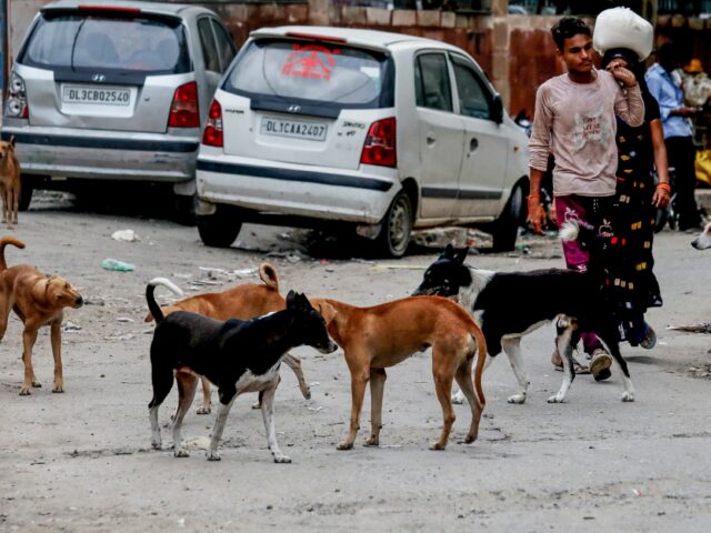 Mass dog killings in Telangana: Nine booked, including two sarpanches, over deaths of around 300 strays