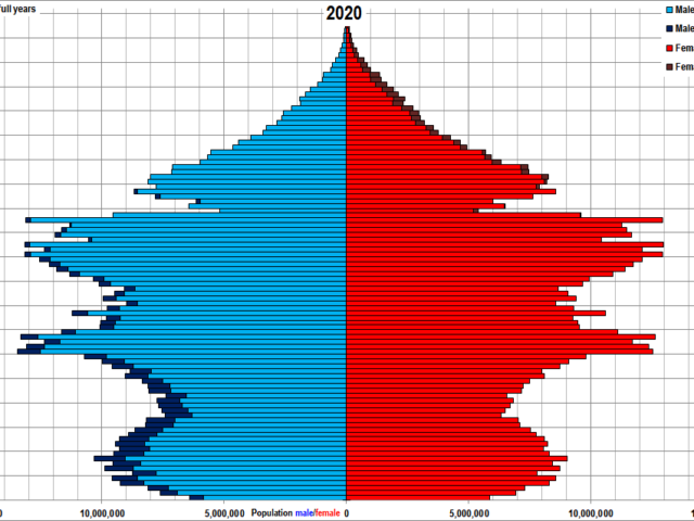 Explained: China’s population isn’t just shrinking — it’s collapsing