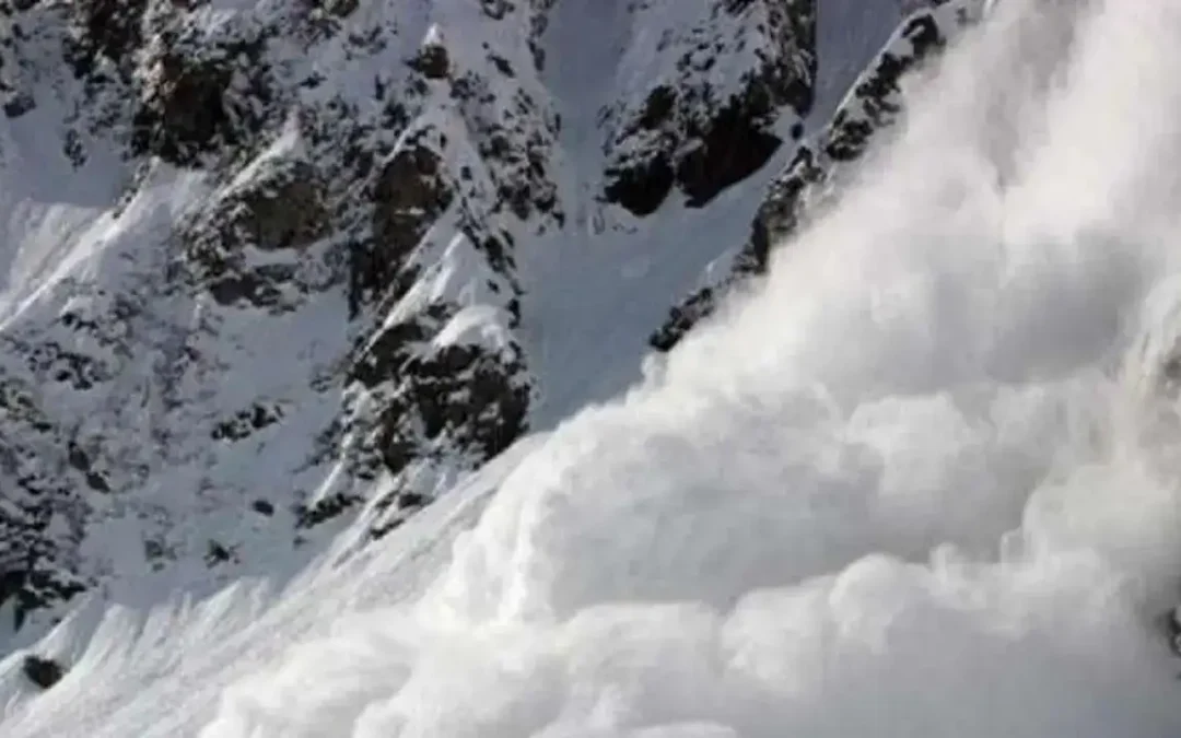 Avalanche Alert Issued for Five Hill Districts After Fresh Snowfall; Uttarkashi, Chamoli on Danger Level-2