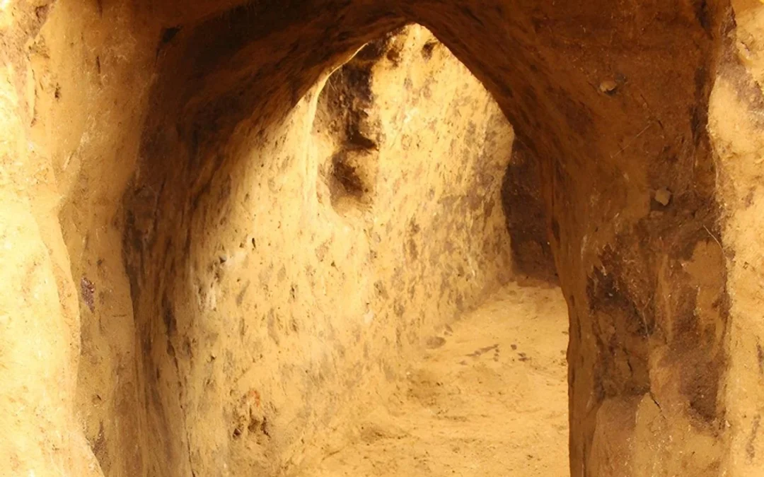 Medieval Tunnel Discovered Inside 6,000-Year-Old Neolithic Site in Germany